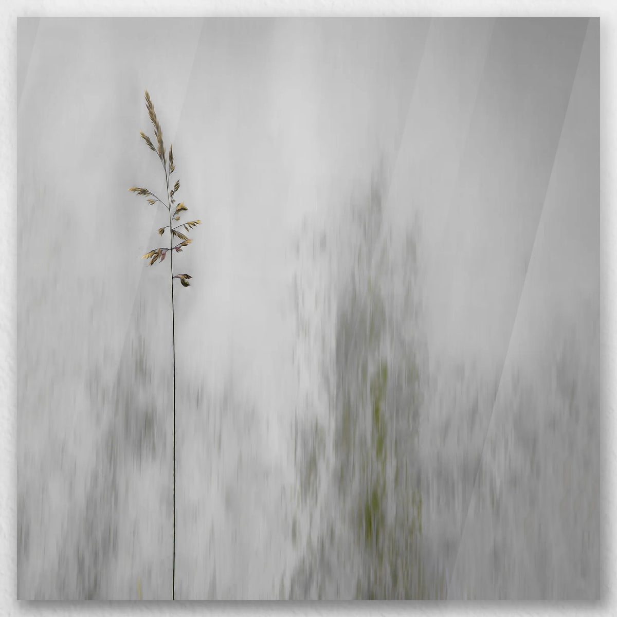 AC-030W030