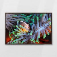 LWN100W070