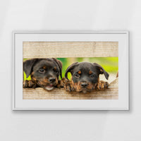 PWP093W062