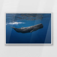 PW-093W062