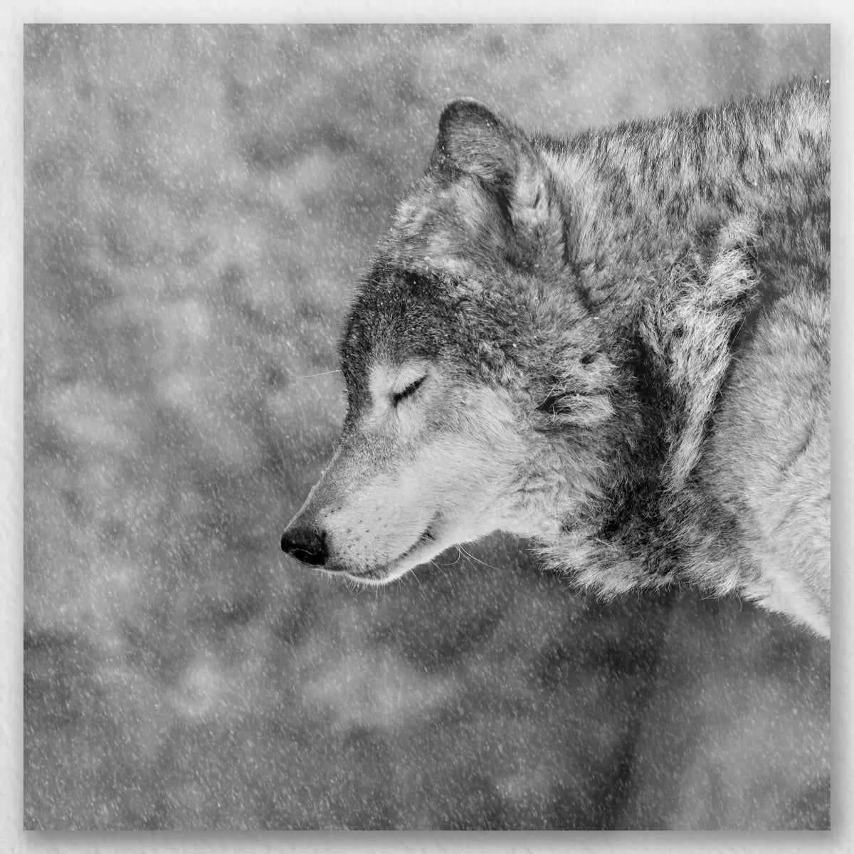 AL-060W060