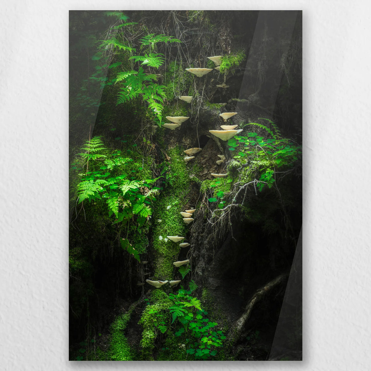 AC-050W075