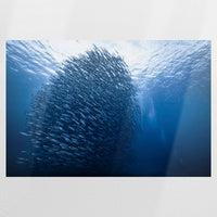 PO-090W060
