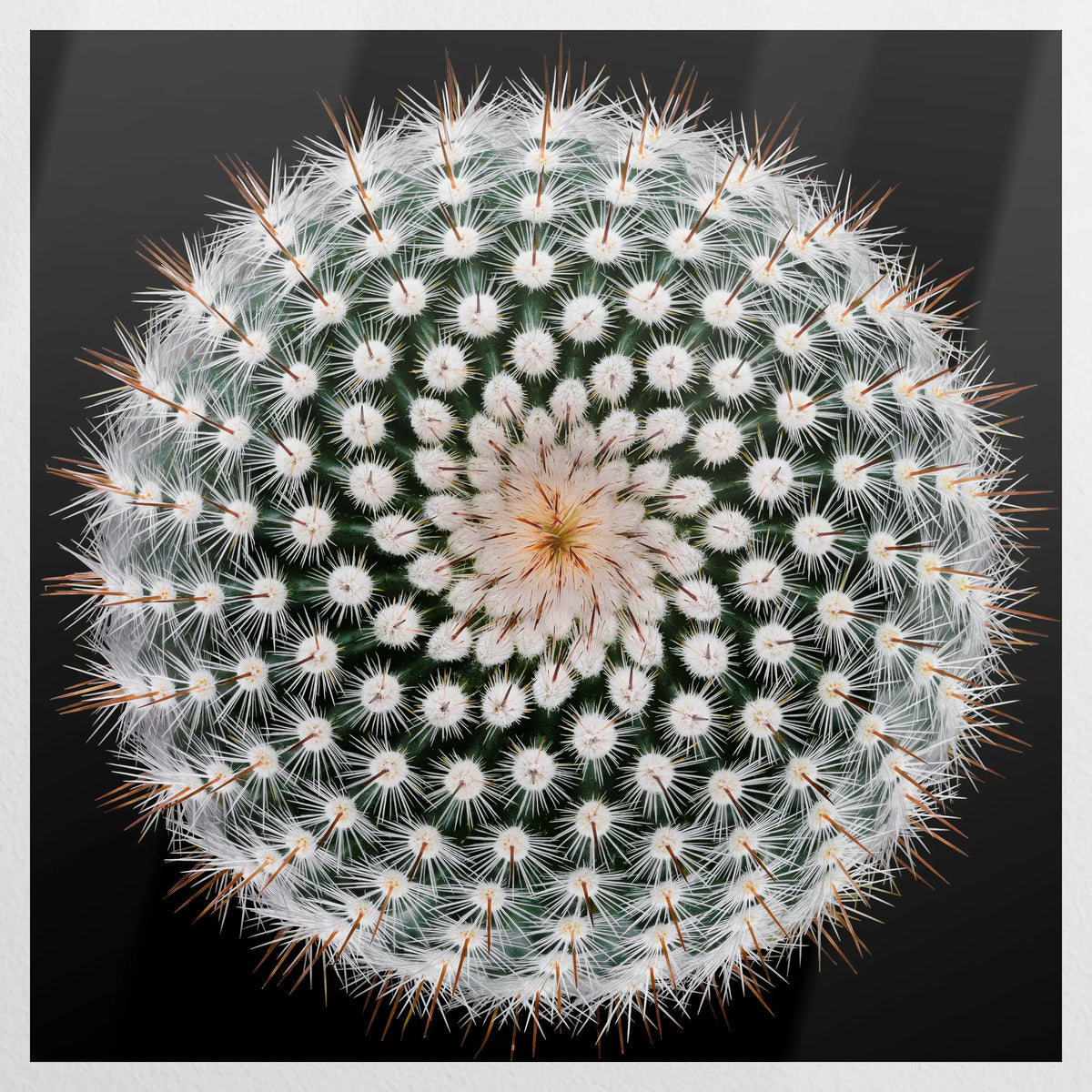 PO-090W090