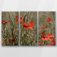 LW-060R040