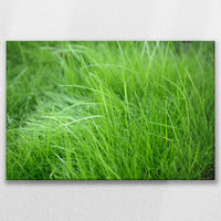 LW-090W060