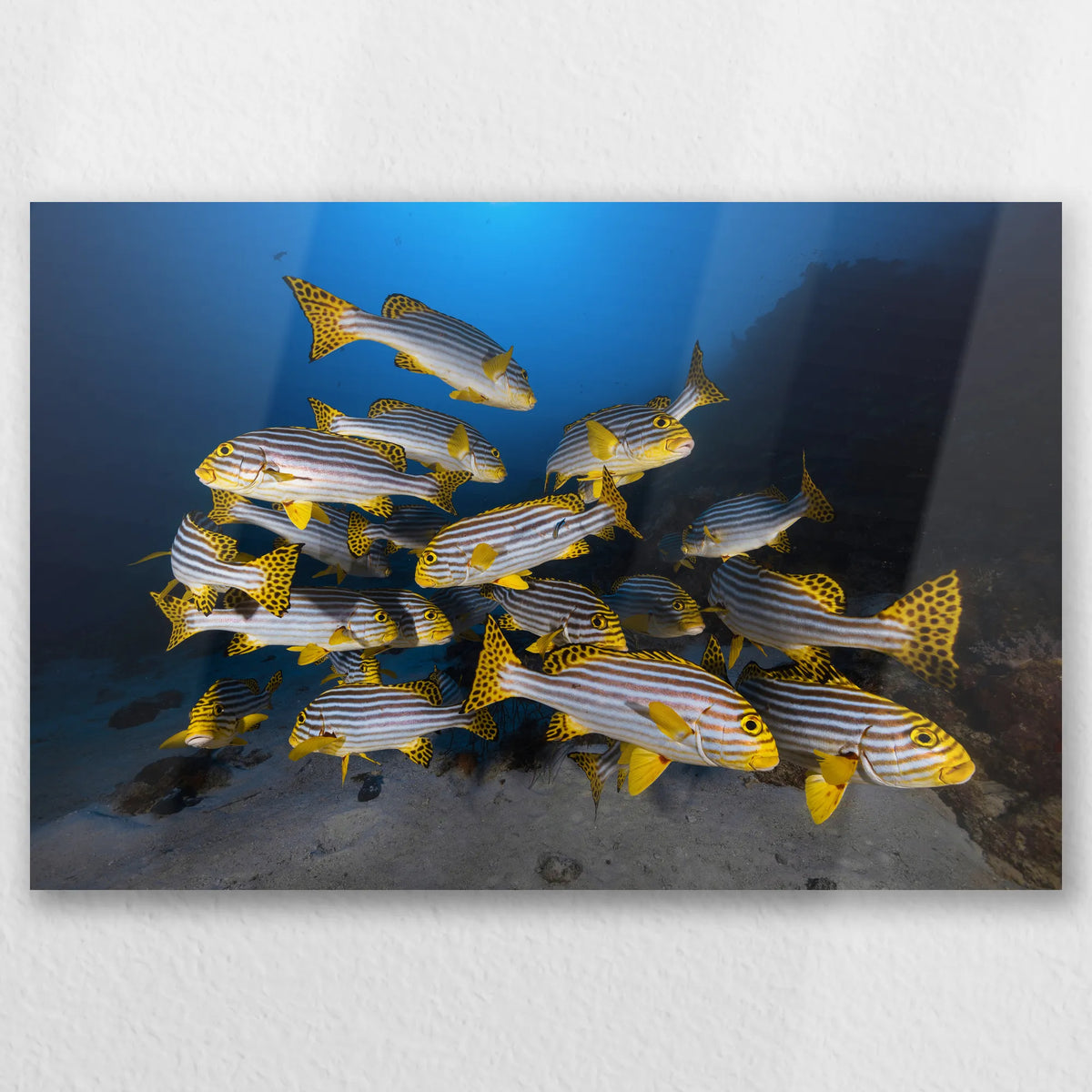 AL-045W030