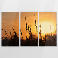 AC-150R100