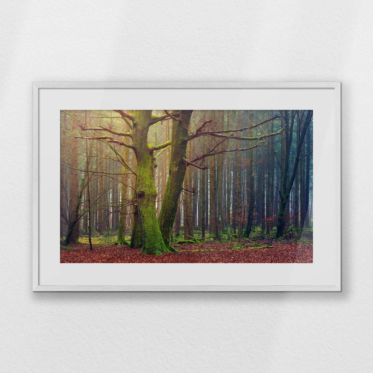 PWP093W062