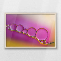 PN-060W040