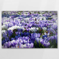 AL-075W050
