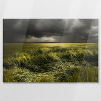 AC-075W050