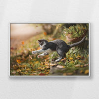 LWW120W080