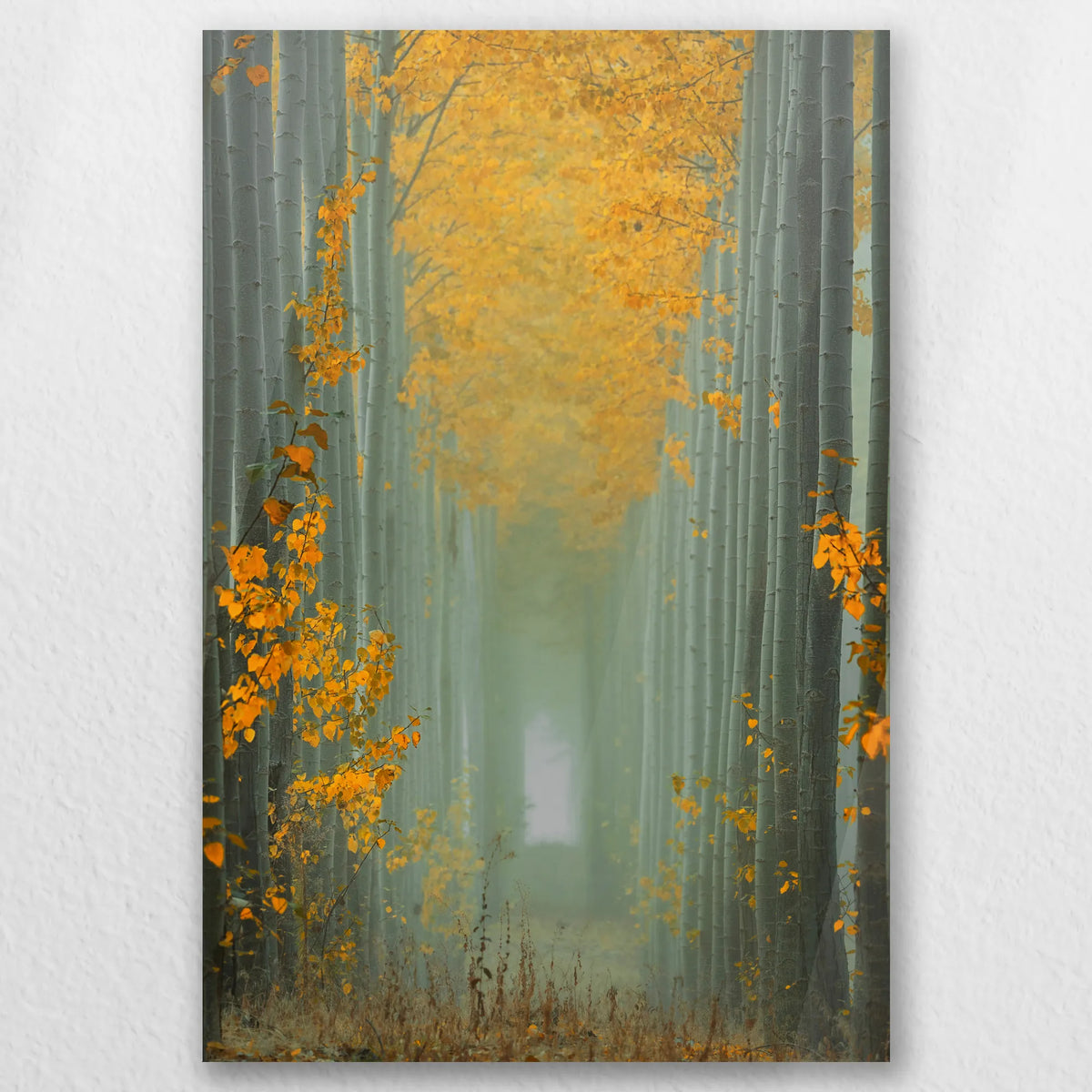 AC-030W045