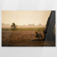 AC-075W050