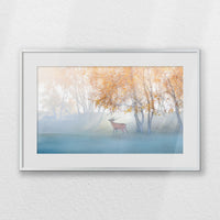 PSP060W040