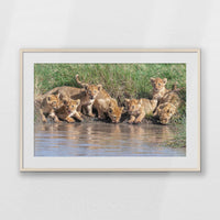 PNP100W070