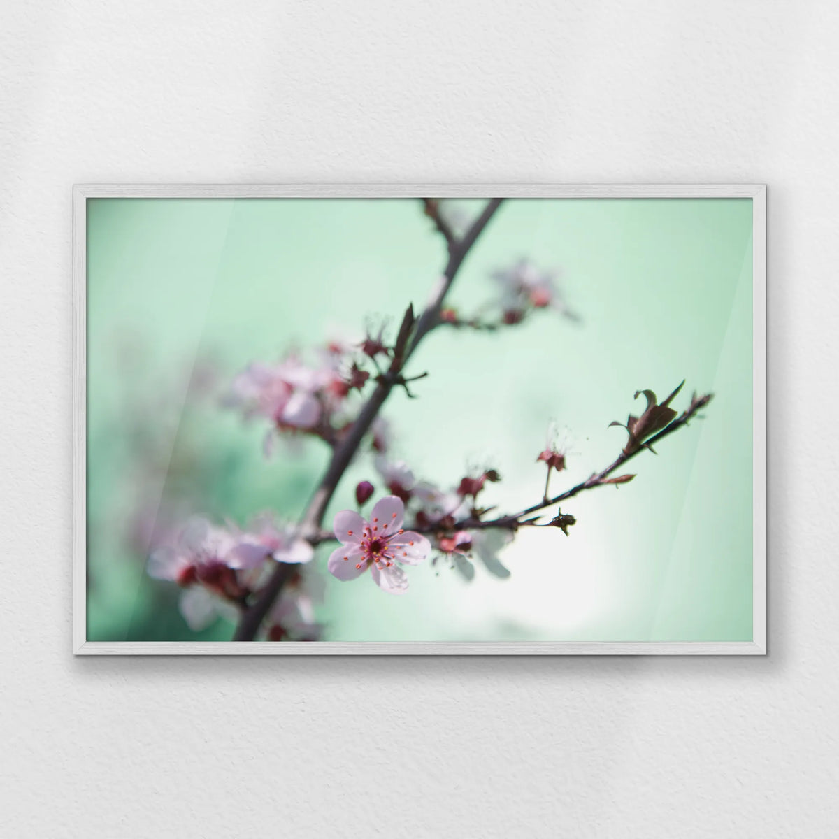 PW-093W062
