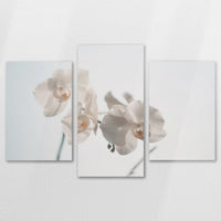 AL-150T100