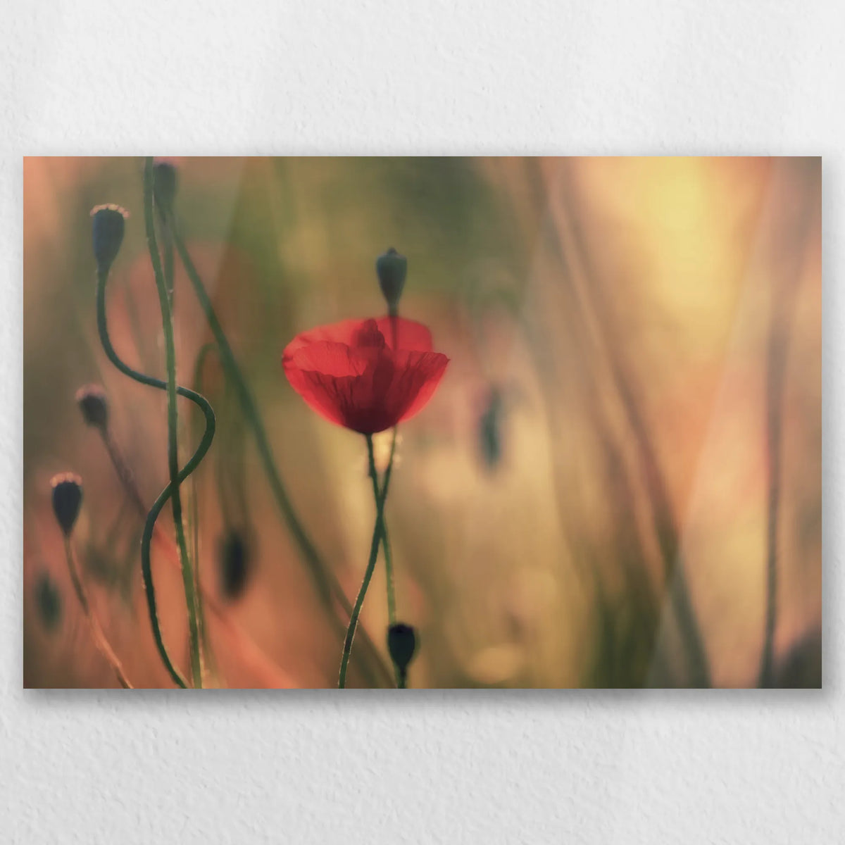 AL-060W040