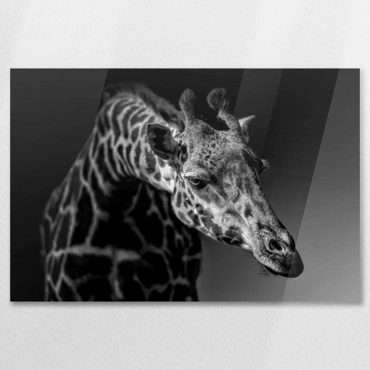 AC-075W050