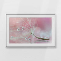 PBP120W080