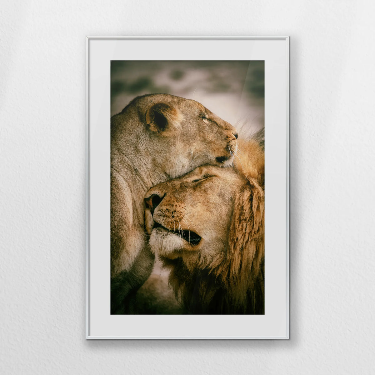 PSP062W093