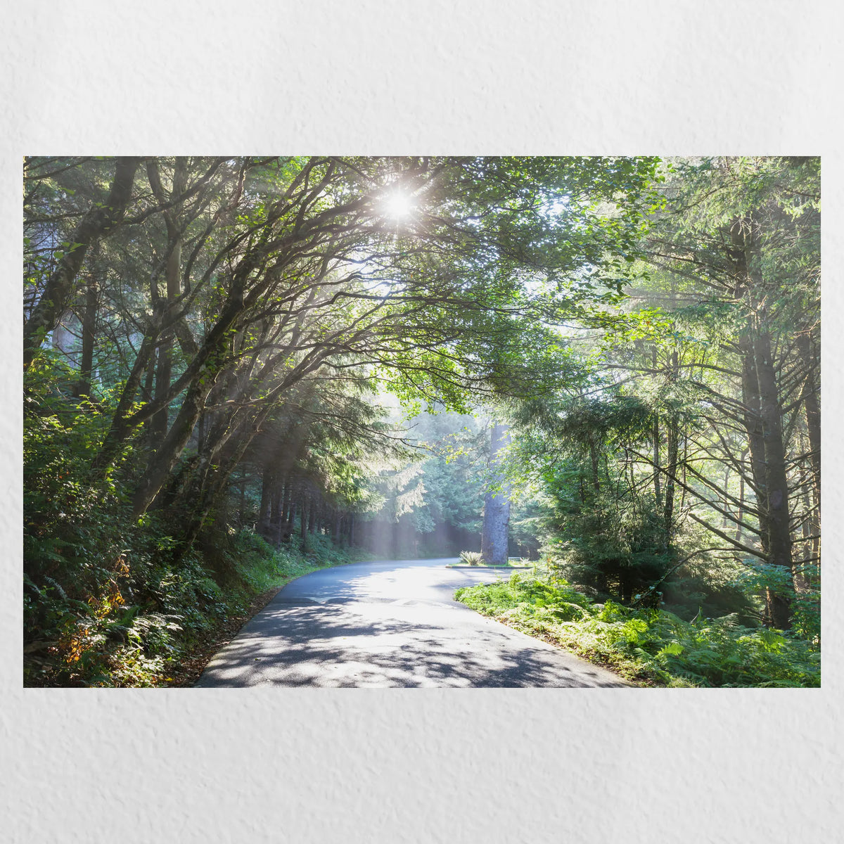 PO-060W040