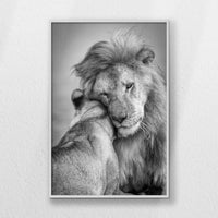 LWW080W120