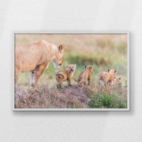 LWW100W070