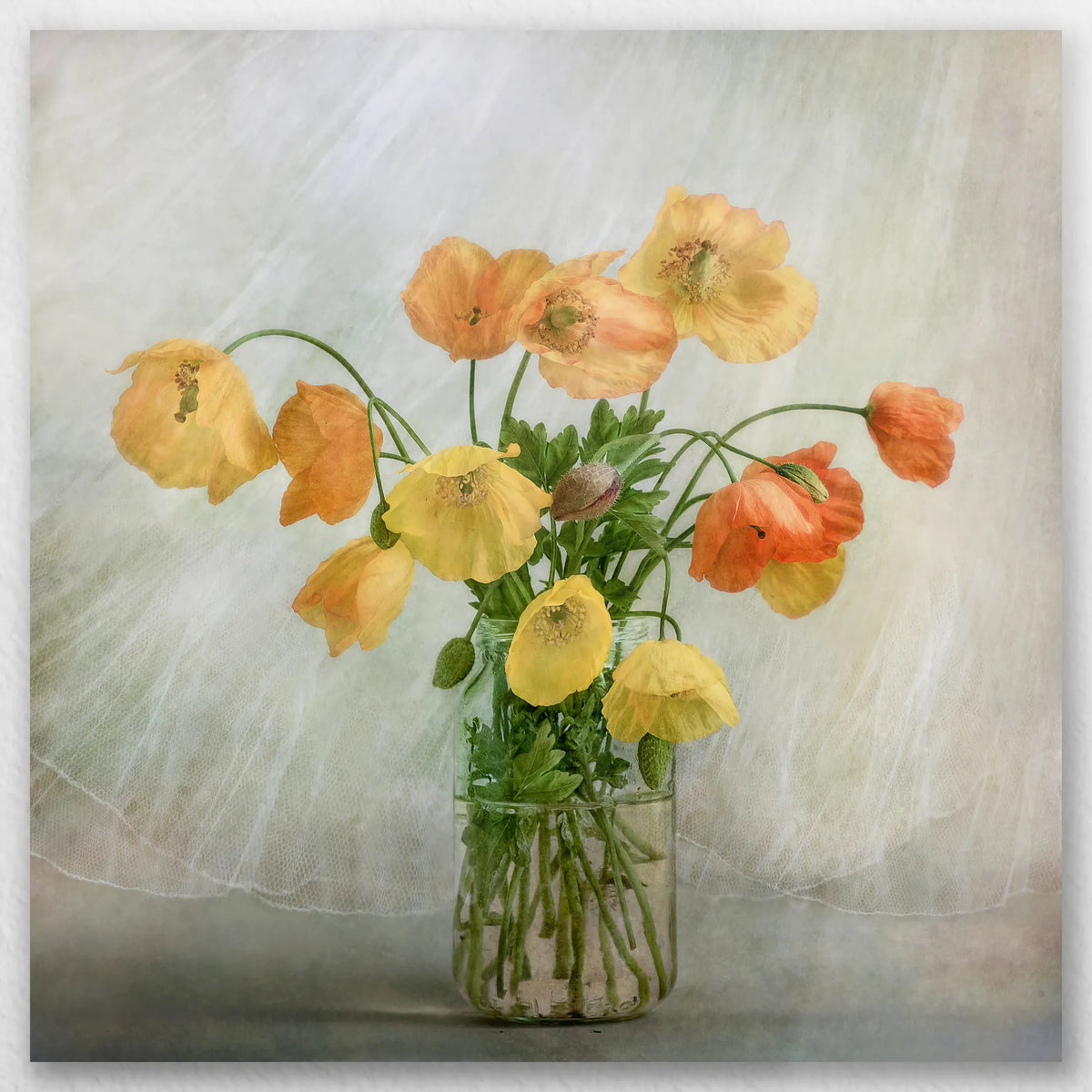 AL-030W030