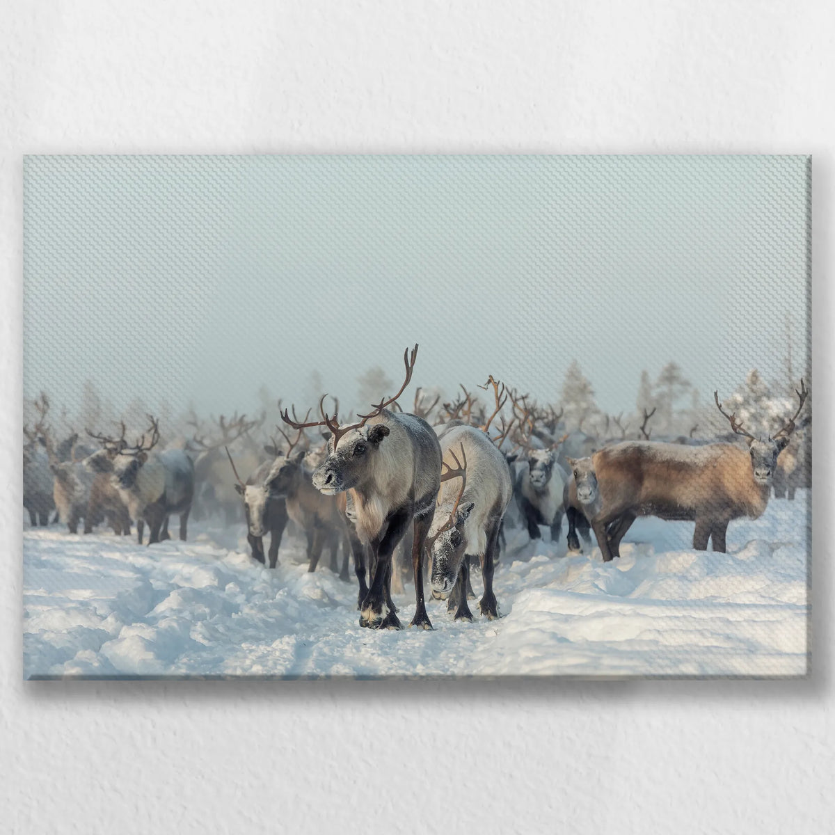 LW-030W020