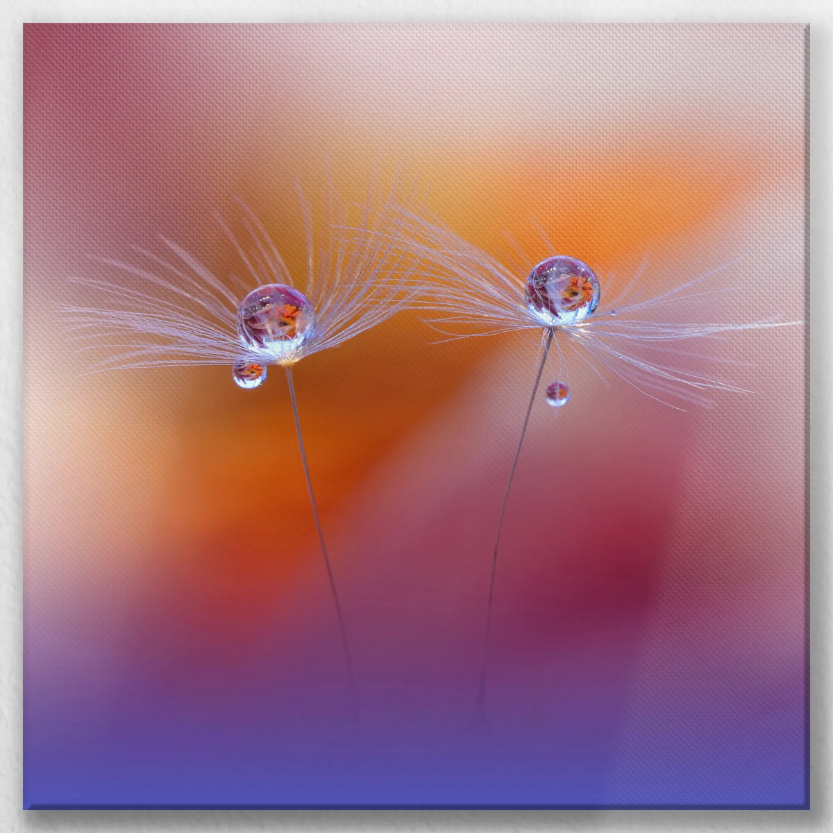 LW-050W050