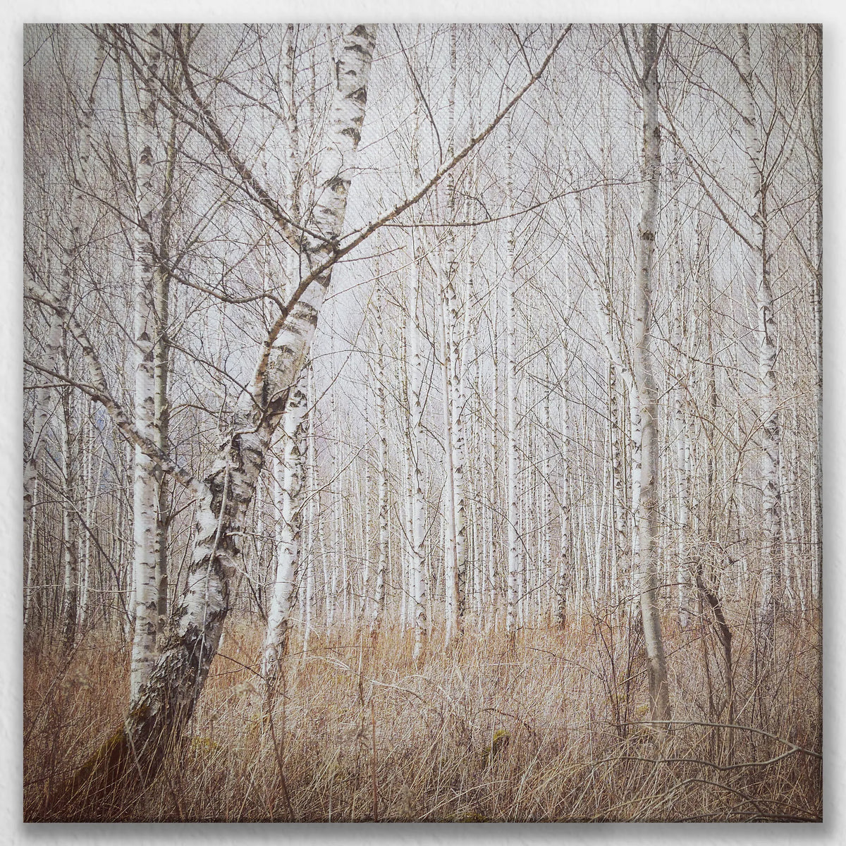 LW-080W080