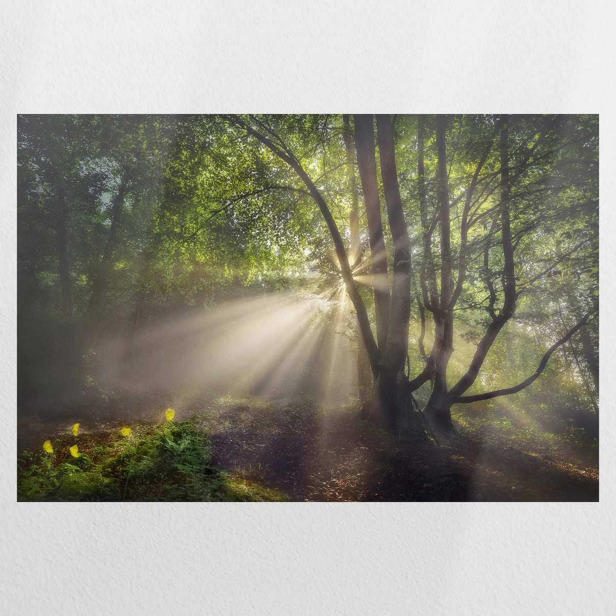 PO-120W080