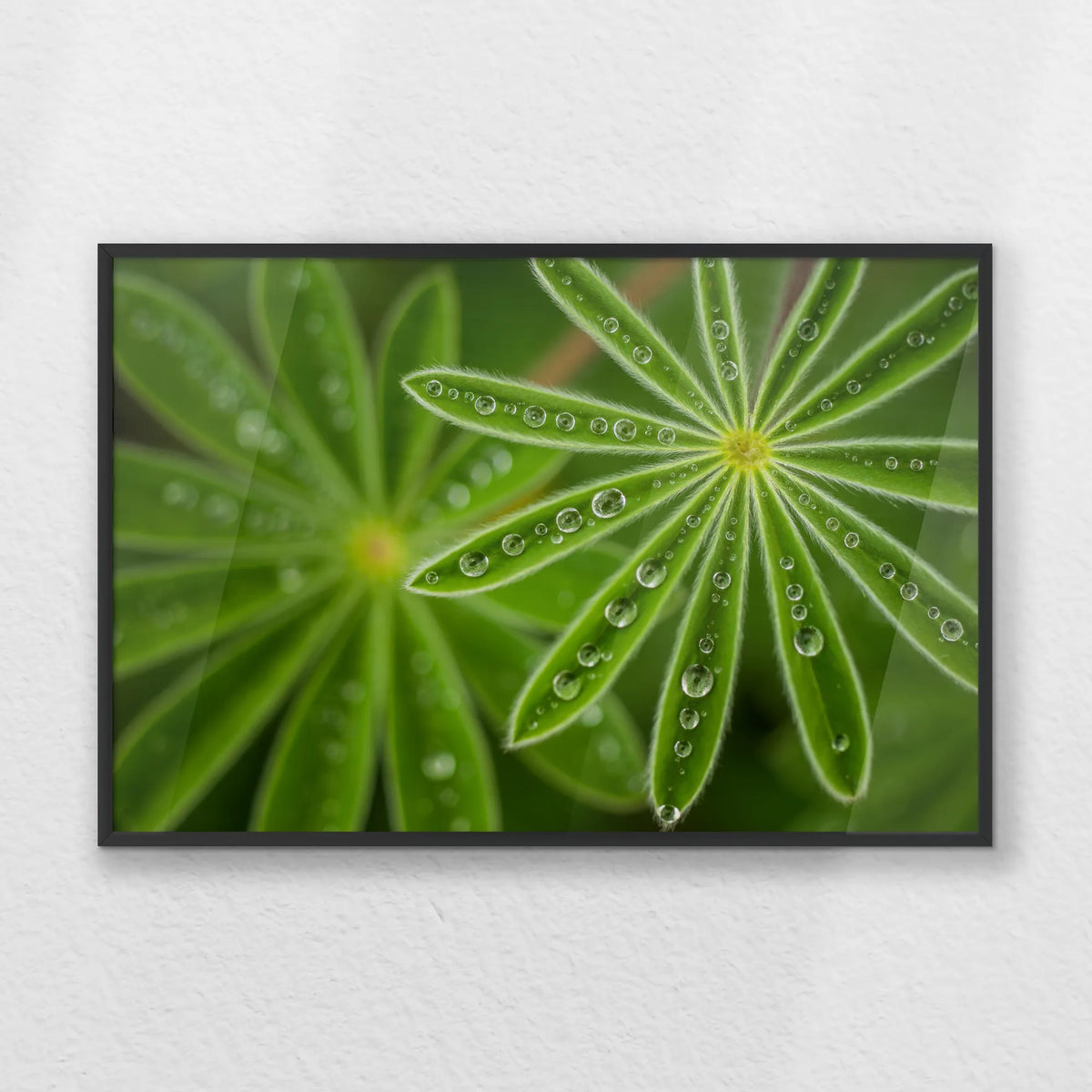 PB-060W040
