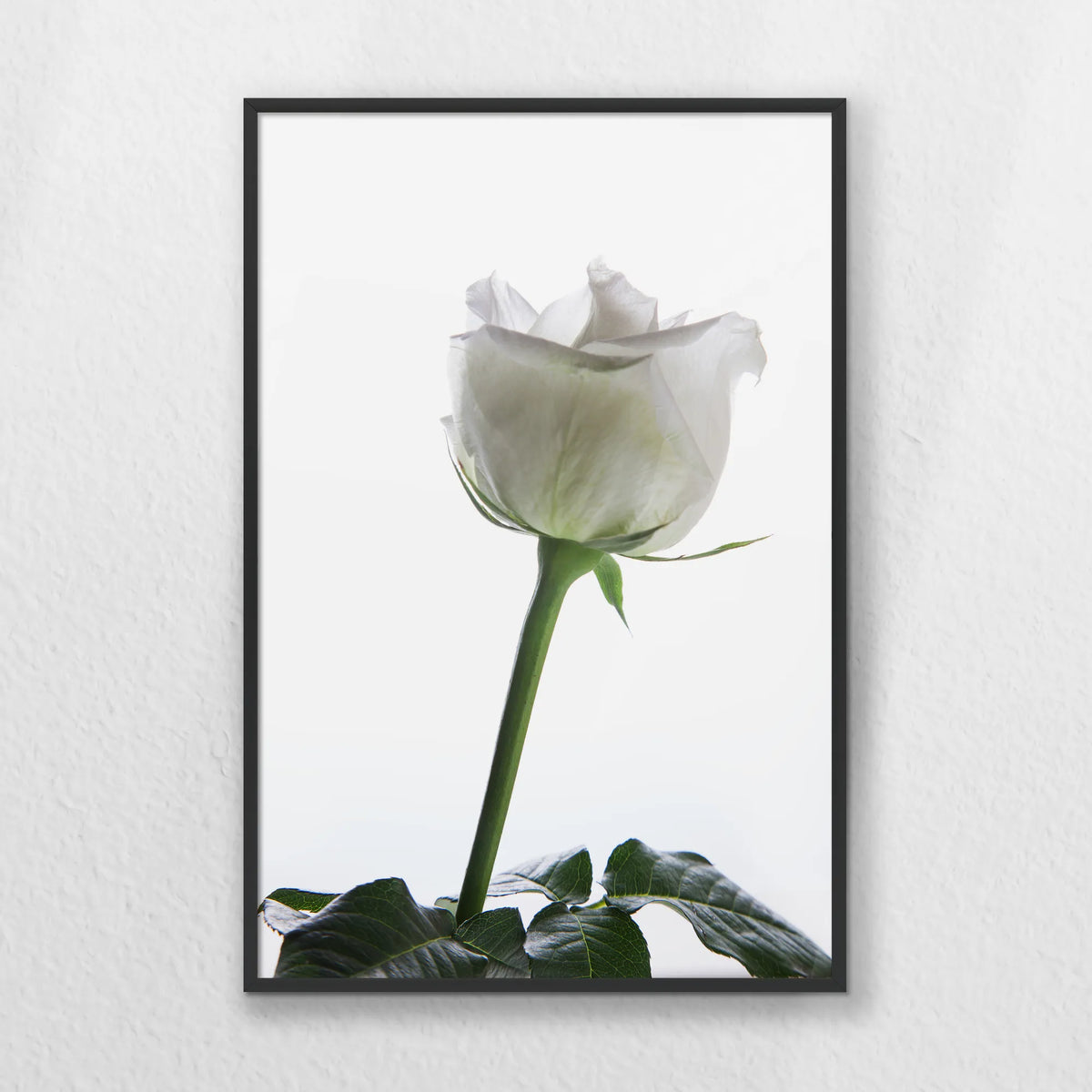 PB-040W060