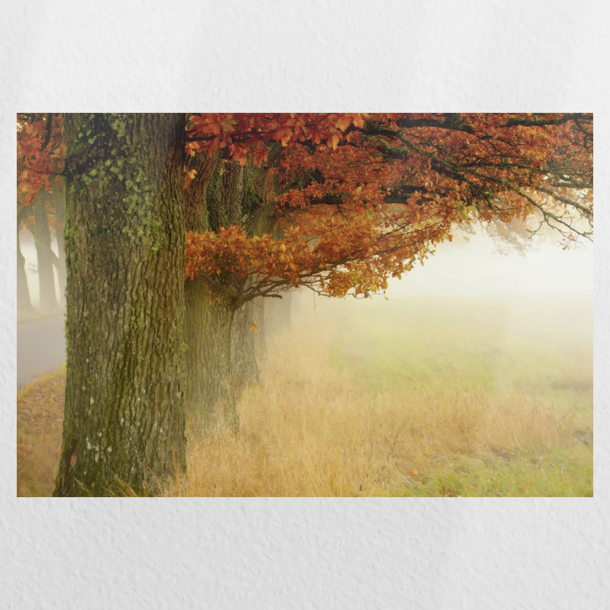PO-045W030