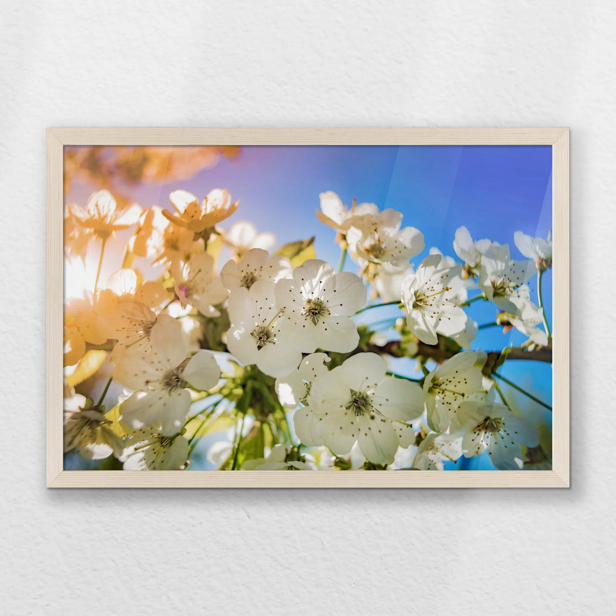 PN-060W040