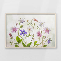 PN-093W062