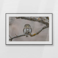 PBP120W080