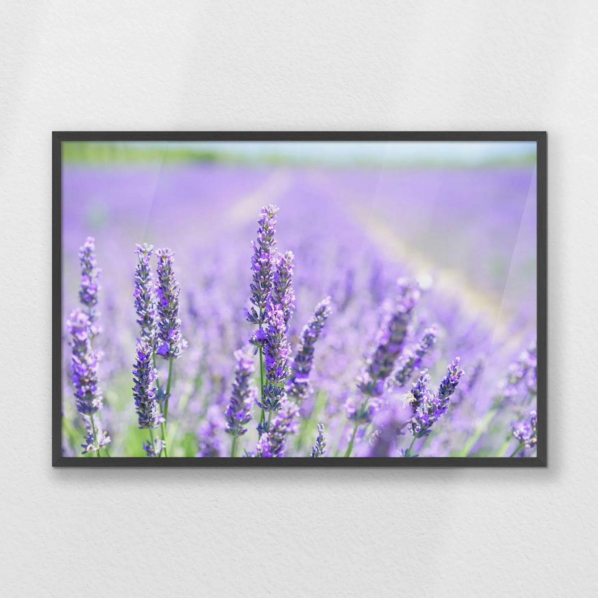 PK-093W062