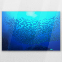 AC-030W020