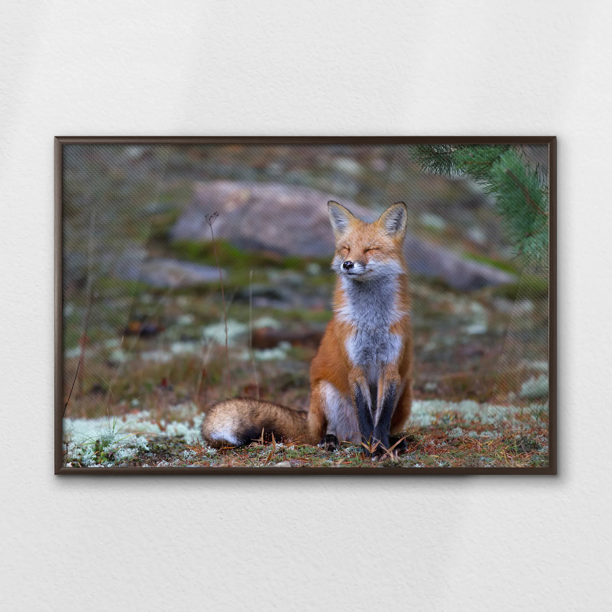 LWN100W070