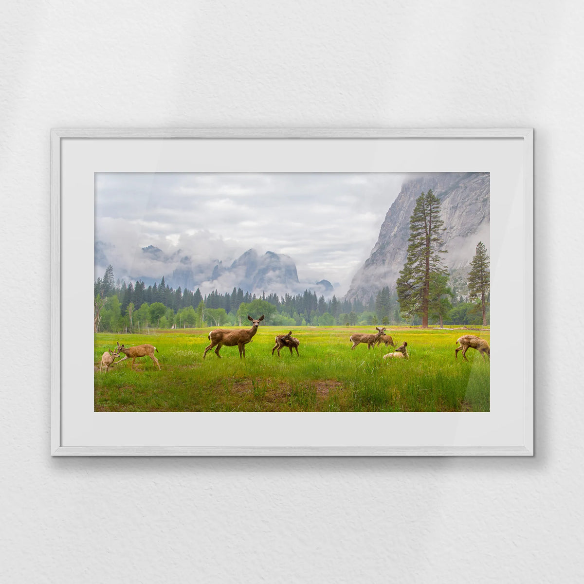PWP093W062