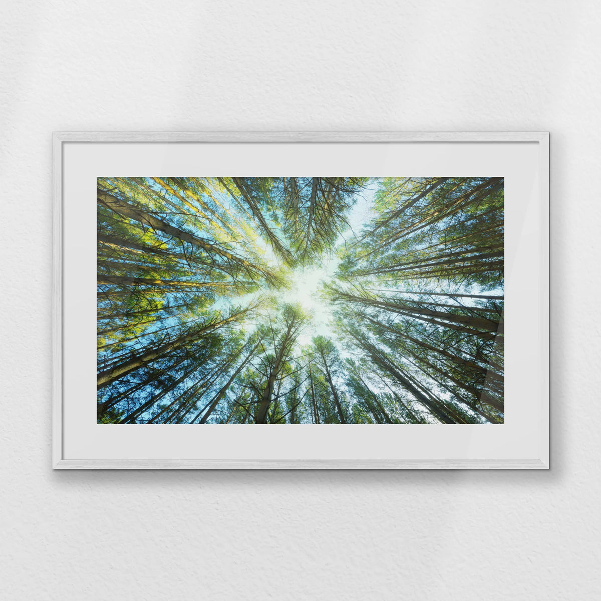 PWP093W062