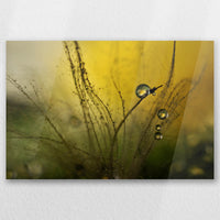AC-030W020