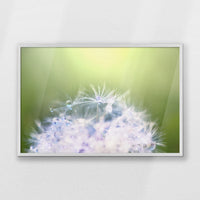 PW-093W062