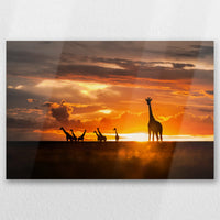 AL-060W040