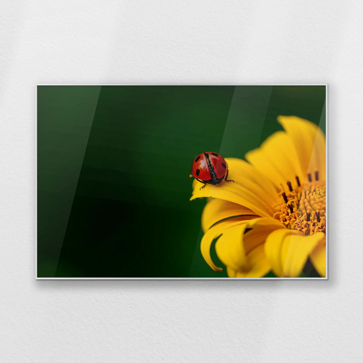 PS-120W080